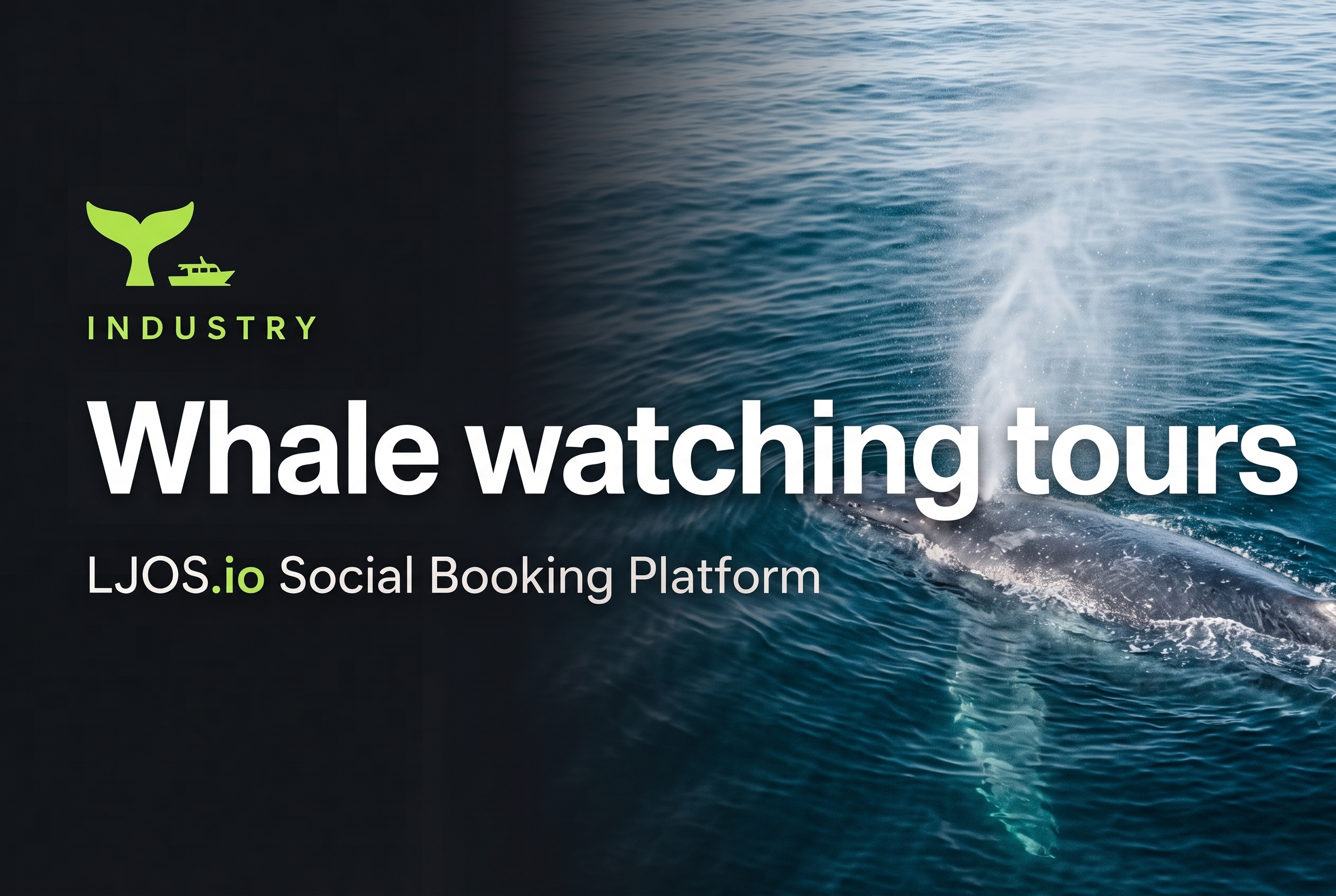 Whale watching tours on LawnJobOS