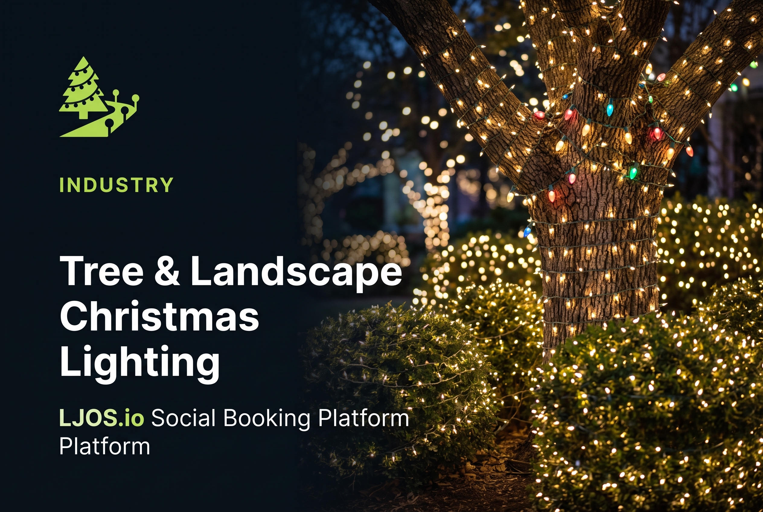 Tree & Landscape Christmas Lighting on LawnJobOS